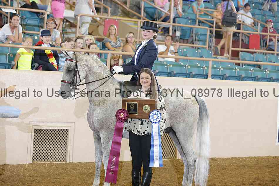 Proof 13yn_08978