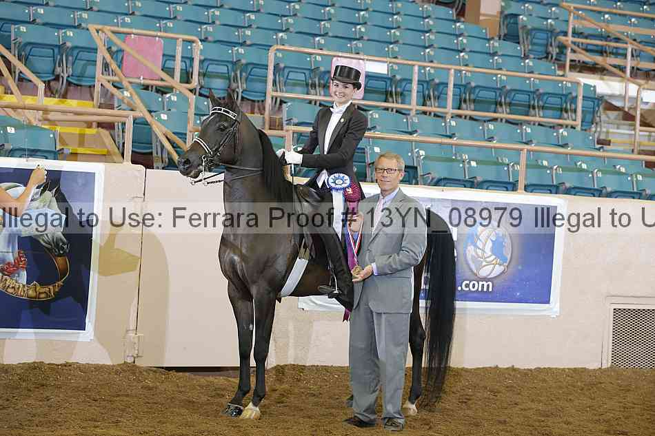 Proof 13yn_08979