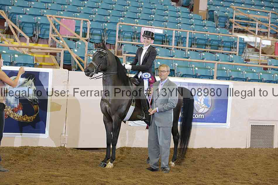 Proof 13yn_08980