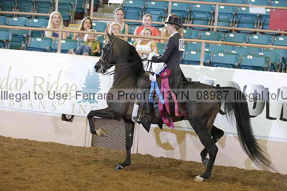 Proof 13yn_08987