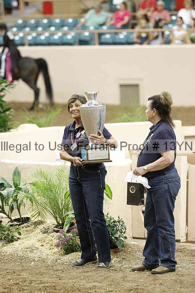 Proof 13yn_08990