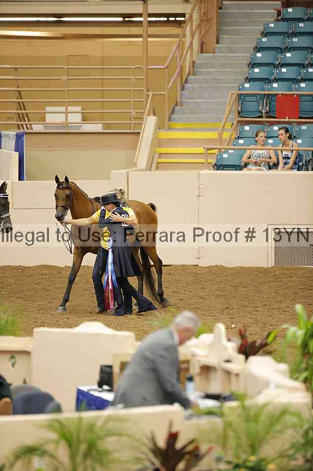 Proof 13yn_08995