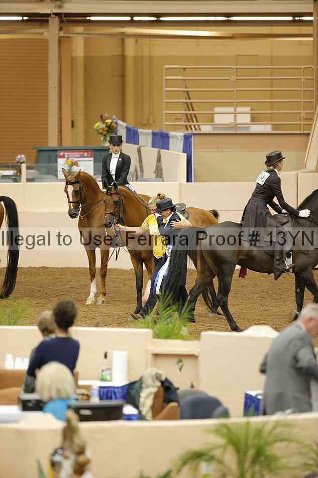 Proof 13yn_08996