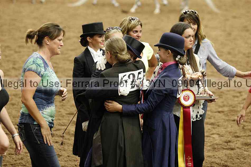 Proof 13yn_09004
