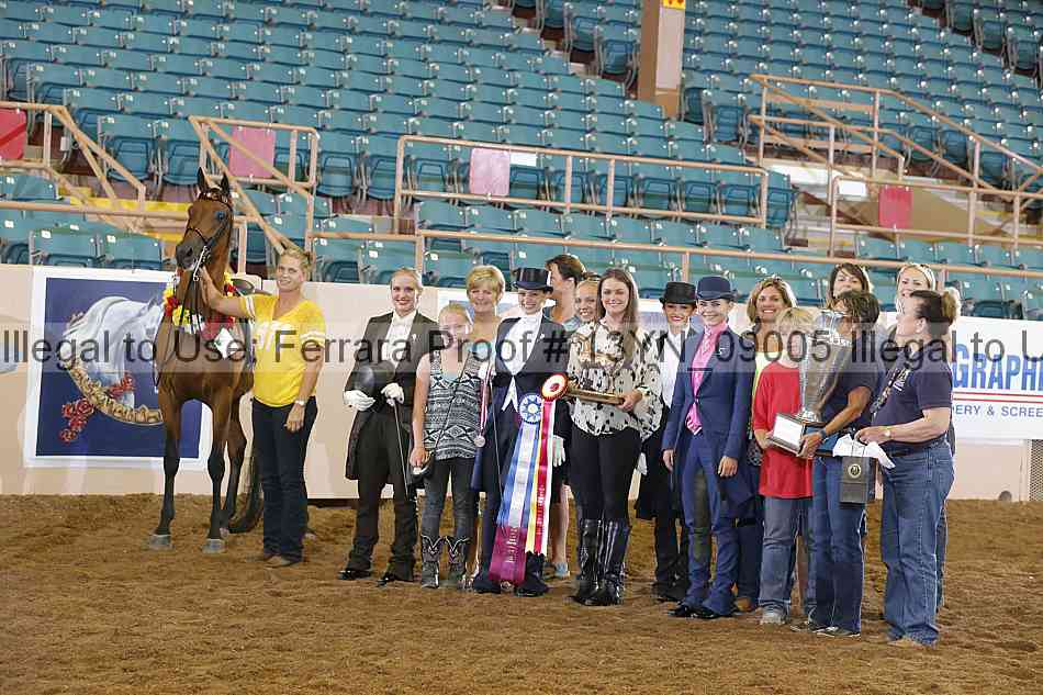 Proof 13yn_09005
