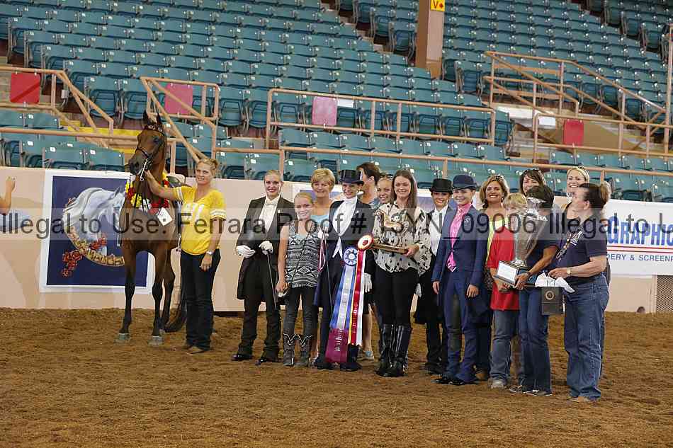 Proof 13yn_09006