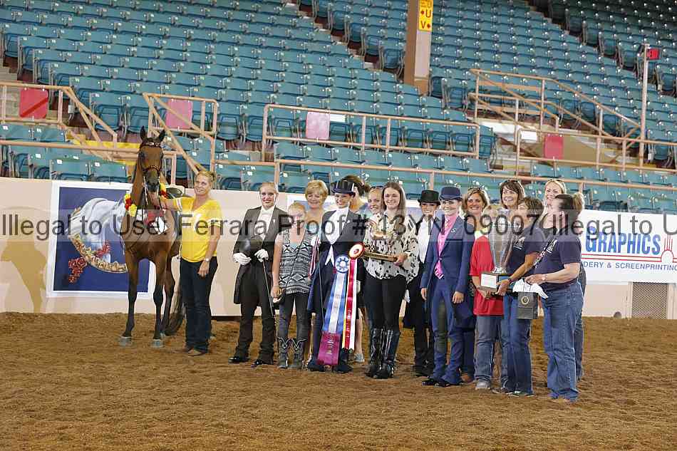 Proof 13yn_09007