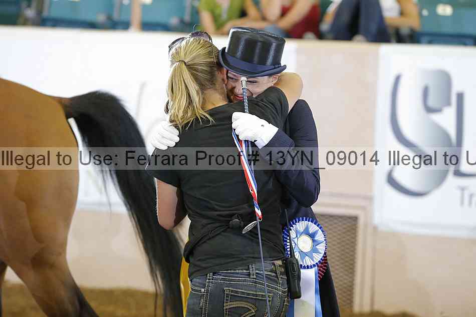 Proof 13yn_09014