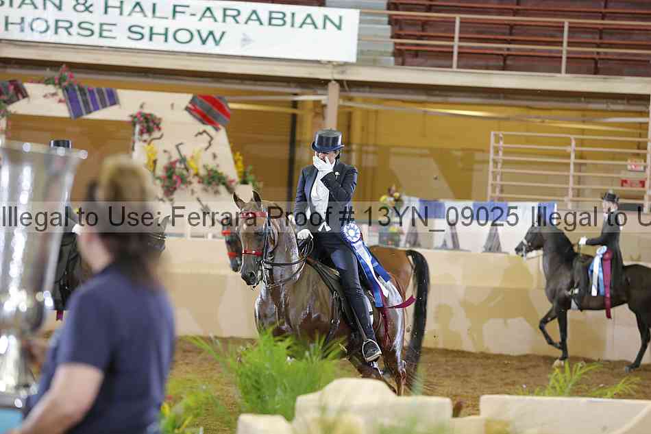 Proof 13yn_09025