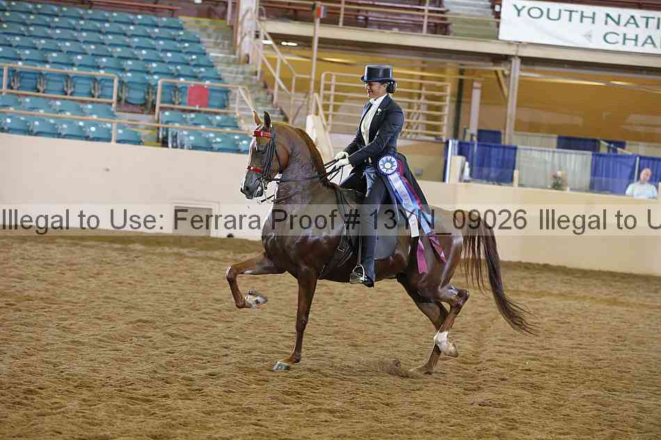 Proof 13yn_09026