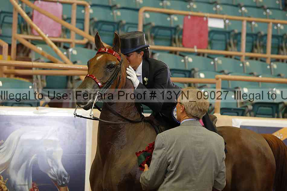 Proof 13yn_09027