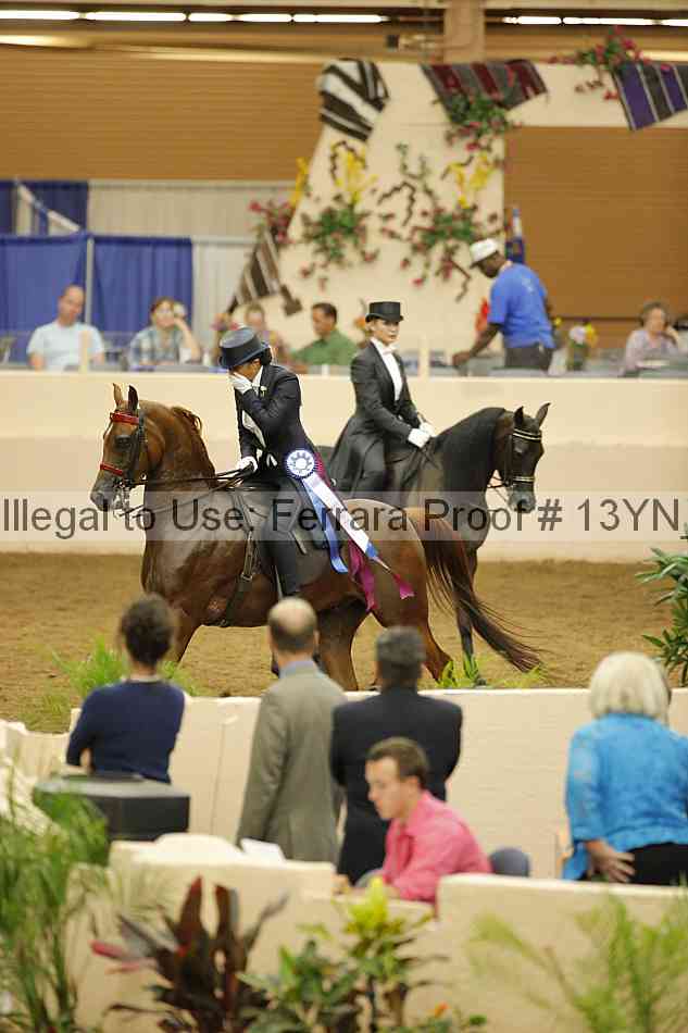 Proof 13yn_09028