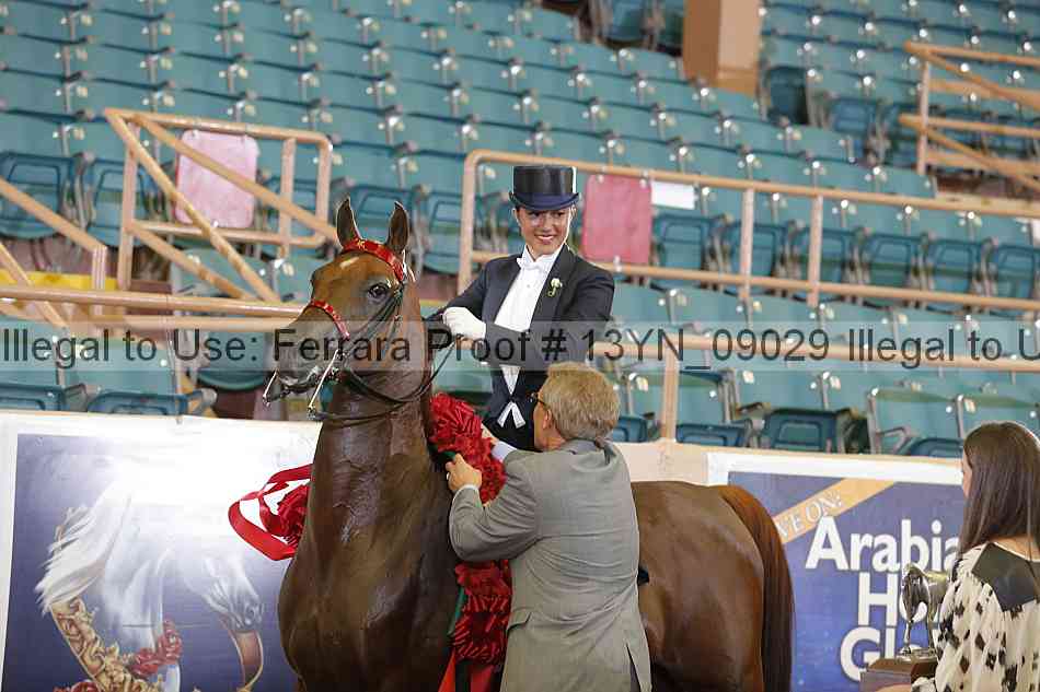 Proof 13yn_09029