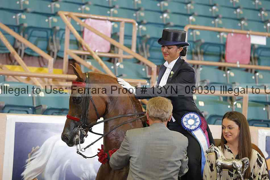 Proof 13yn_09030