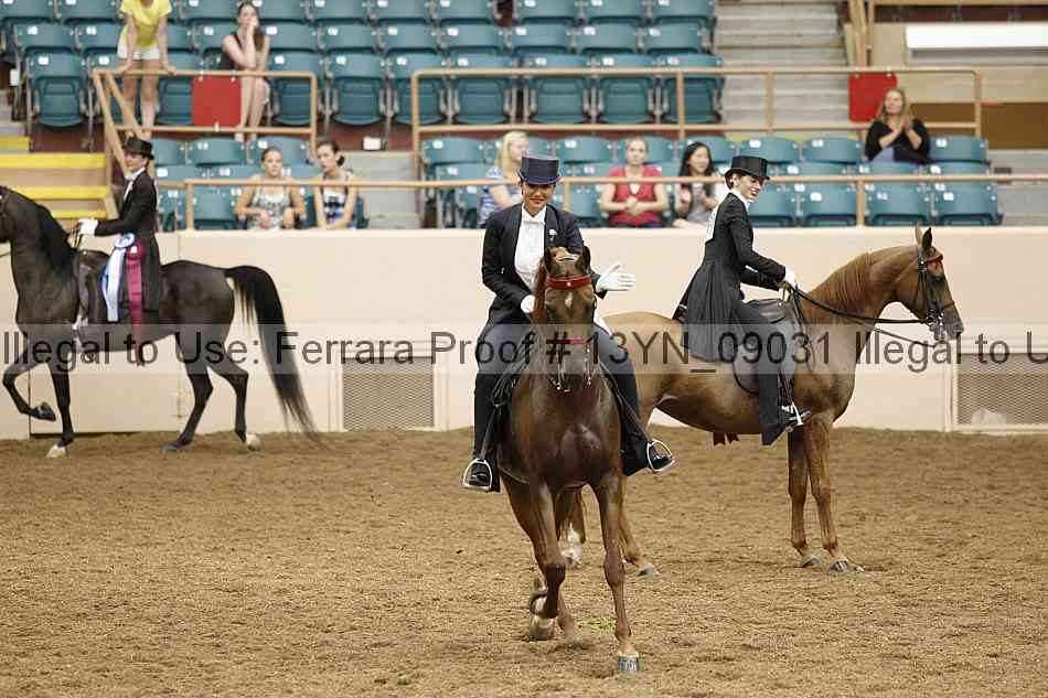 Proof 13yn_09031