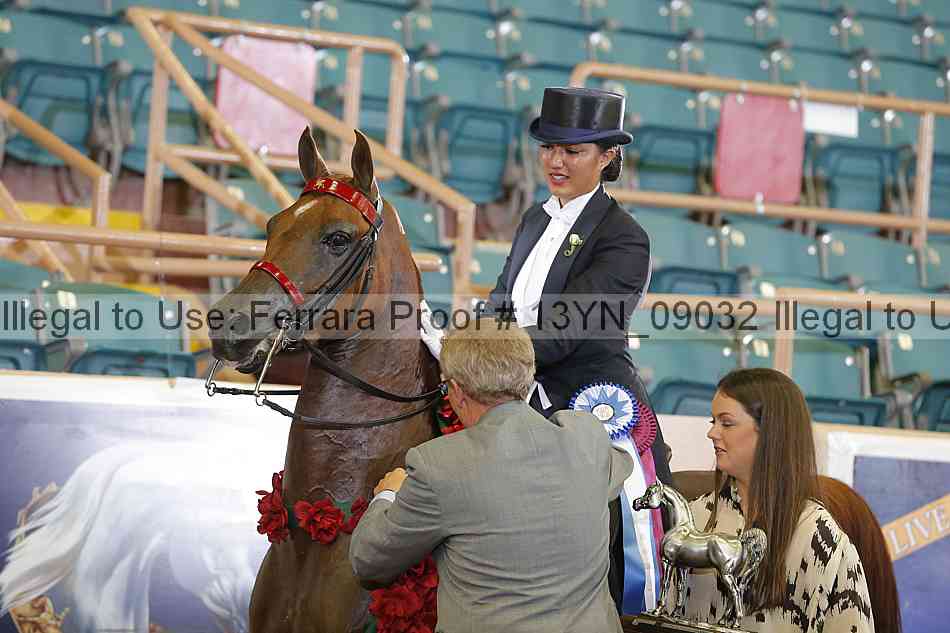 Proof 13yn_09032