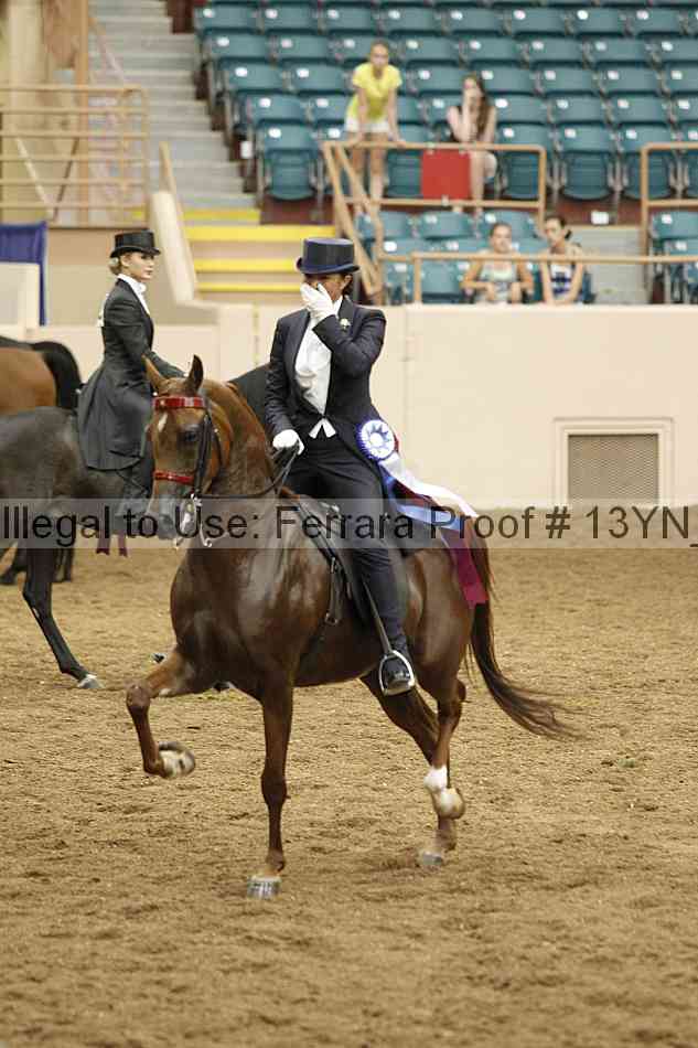 Proof 13yn_09033