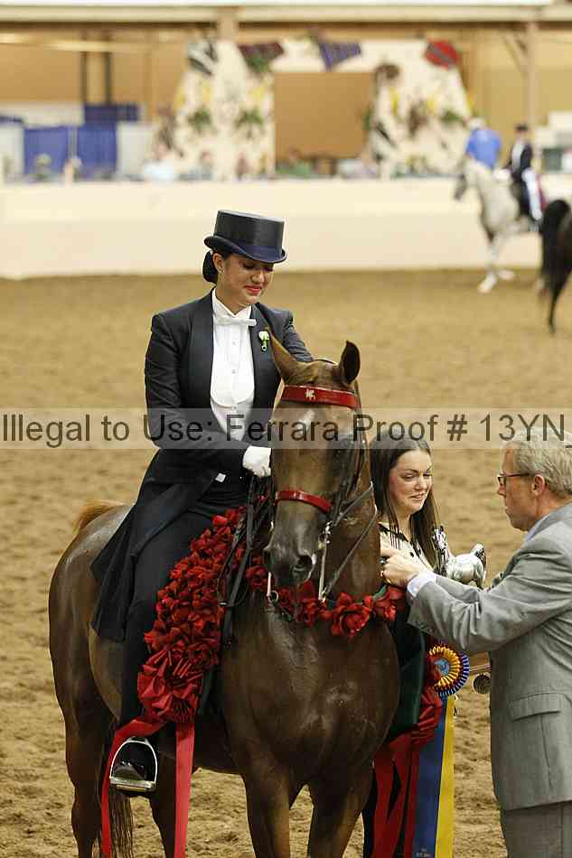 Proof 13yn_09037