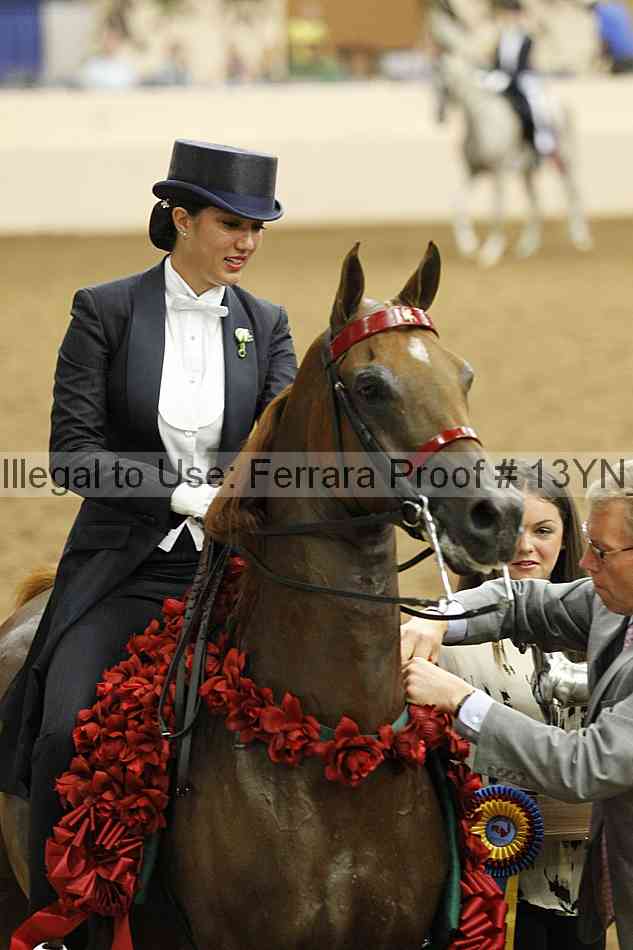 Proof 13yn_09038