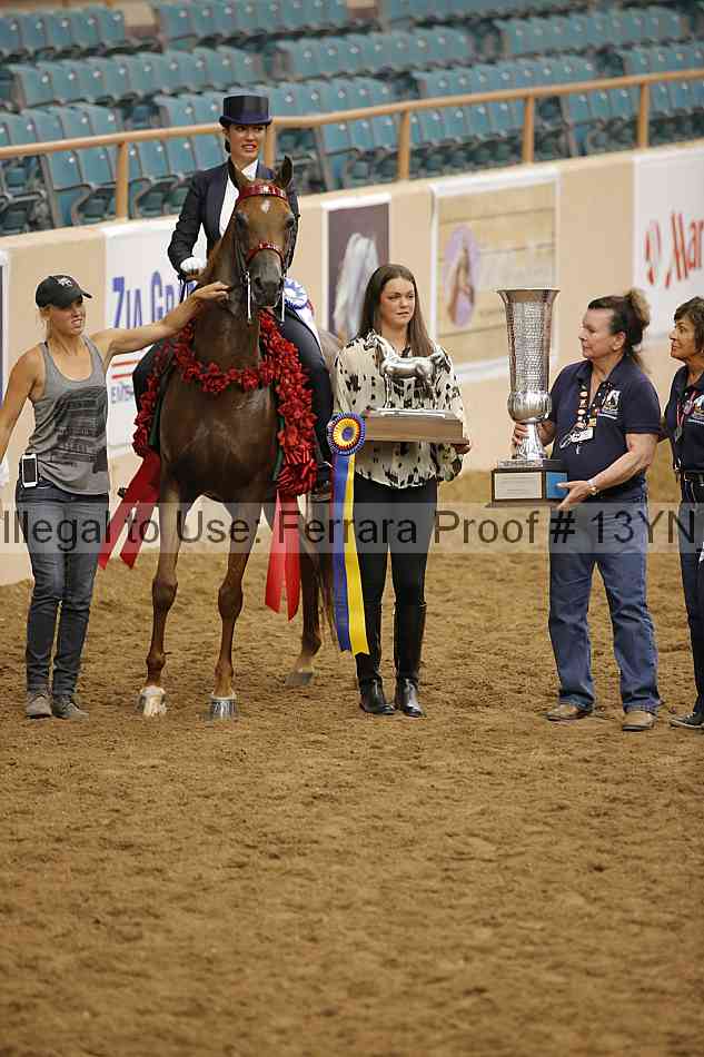 Proof 13yn_09039