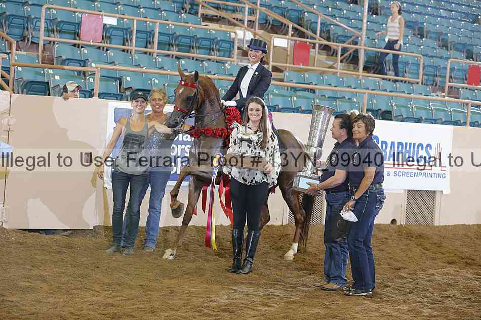 Proof 13yn_09040