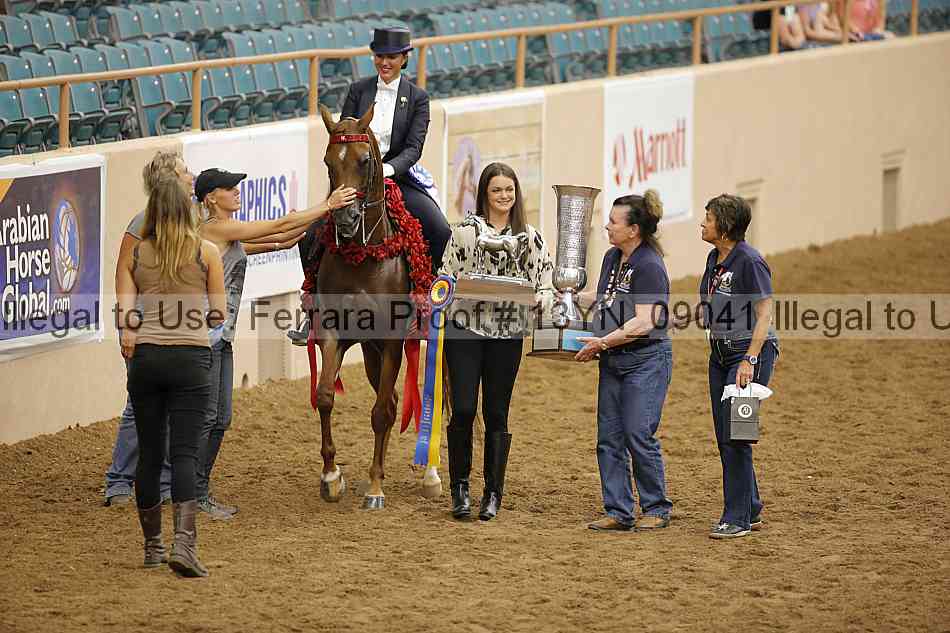 Proof 13yn_09041