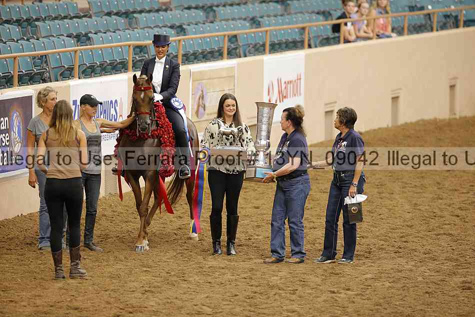 Proof 13yn_09042