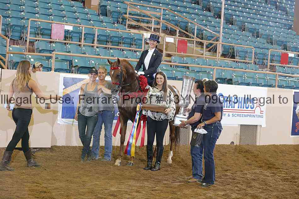 Proof 13yn_09043