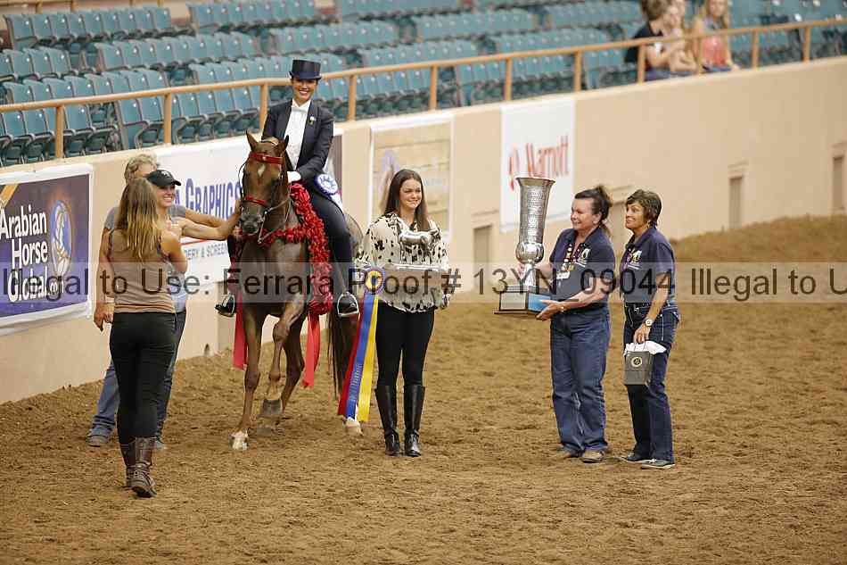 Proof 13yn_09044