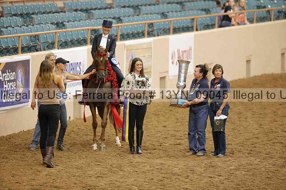 Proof 13yn_09045
