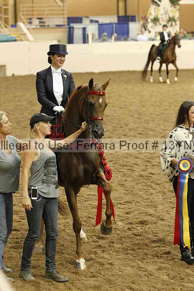 Proof 13yn_09046