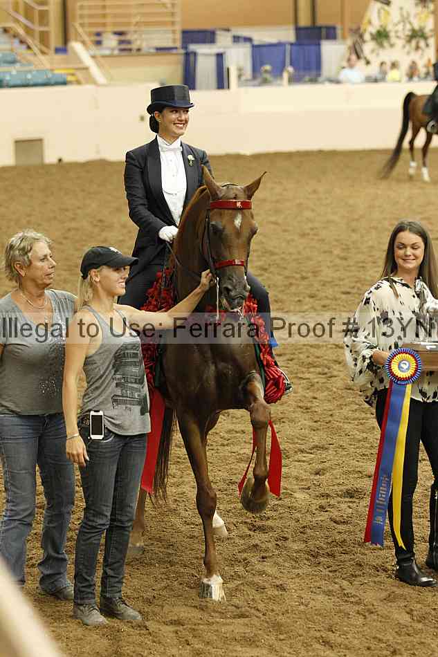 Proof 13yn_09047