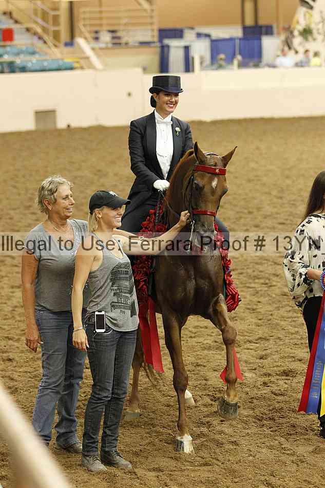 Proof 13yn_09048