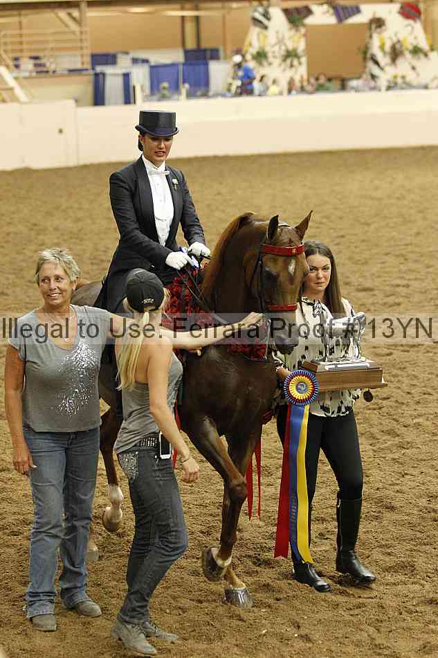 Proof 13yn_09049
