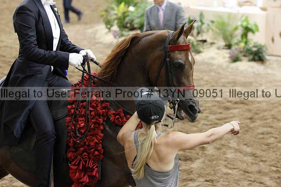 Proof 13yn_09051