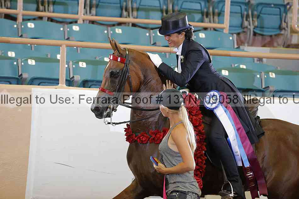 Proof 13yn_09058