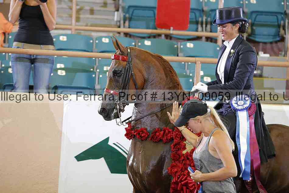 Proof 13yn_09059