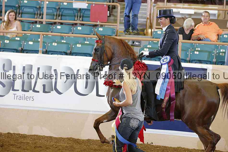 Proof 13yn_09060
