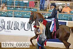 13yn_09060 proof