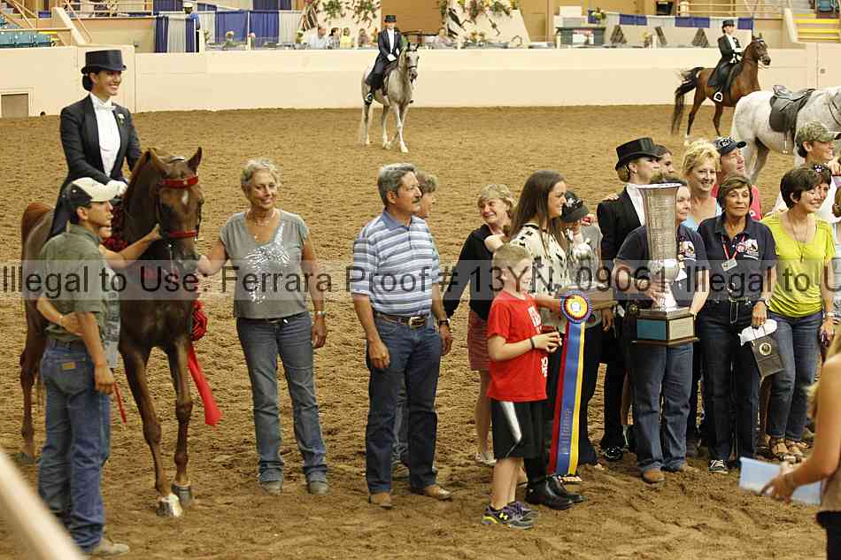 Proof 13yn_09061