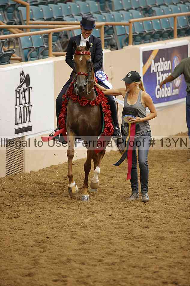 Proof 13yn_09062