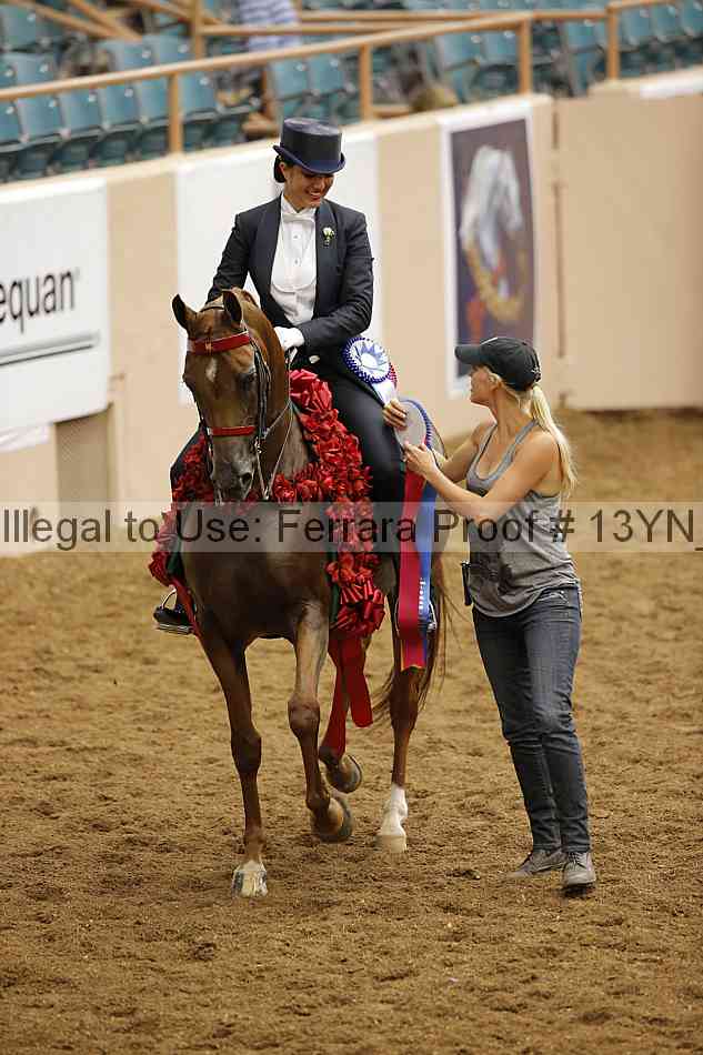 Proof 13yn_09064