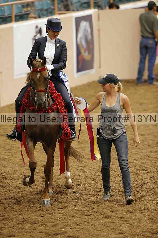 Proof 13yn_09065