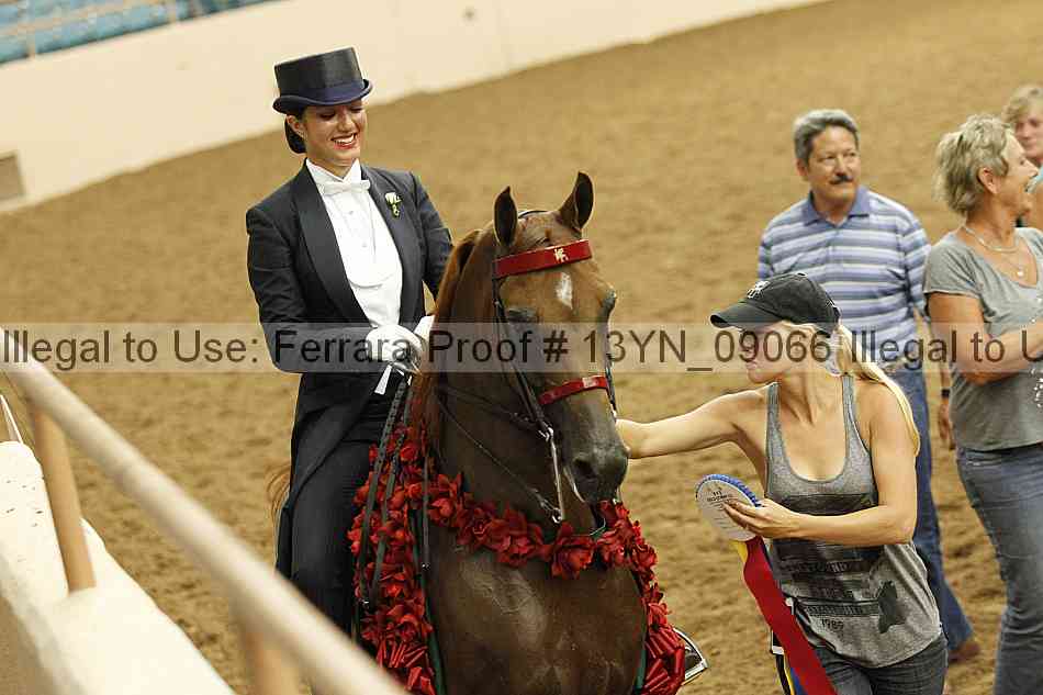 Proof 13yn_09066