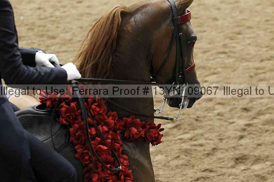 Proof 13yn_09067
