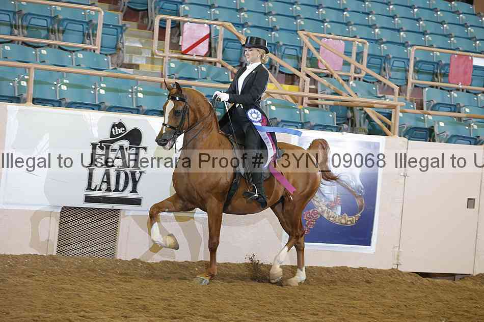 Proof 13yn_09068