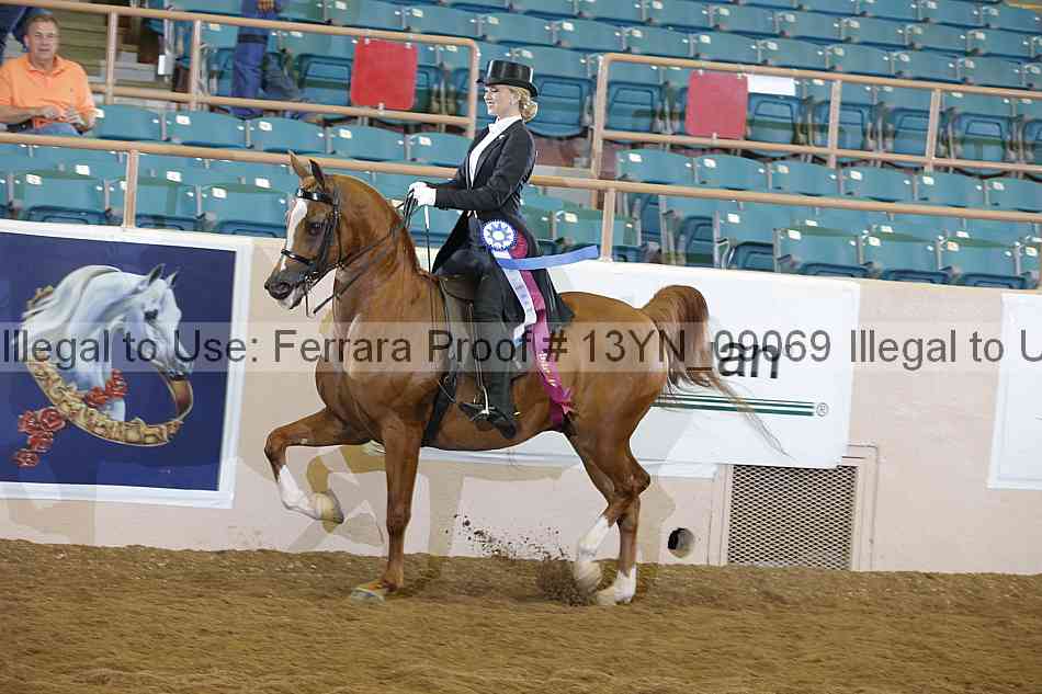 Proof 13yn_09069
