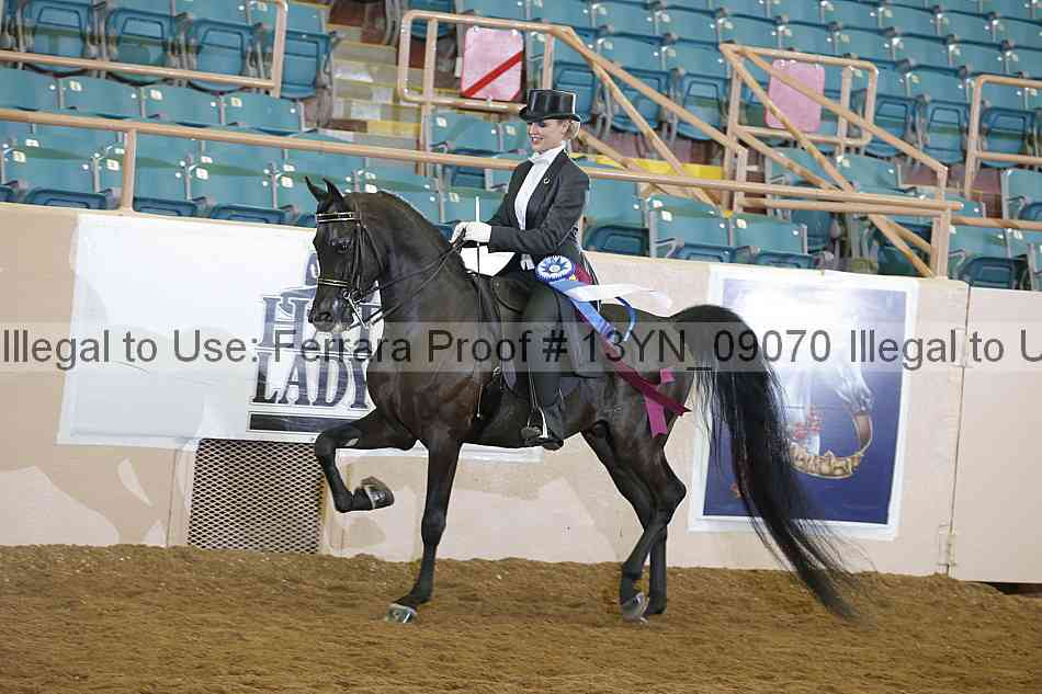 Proof 13yn_09070