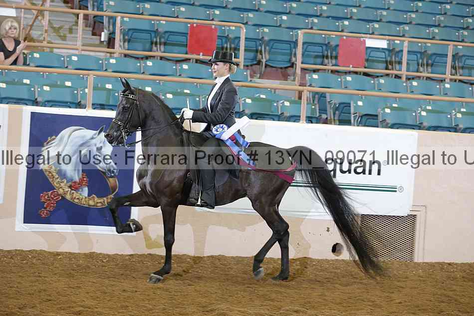 Proof 13yn_09071