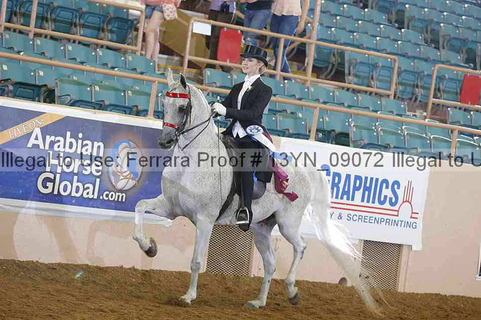 Proof 13yn_09072